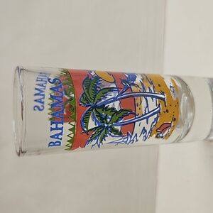 Bahamas Souvenir Shot Glass with Tropical Design